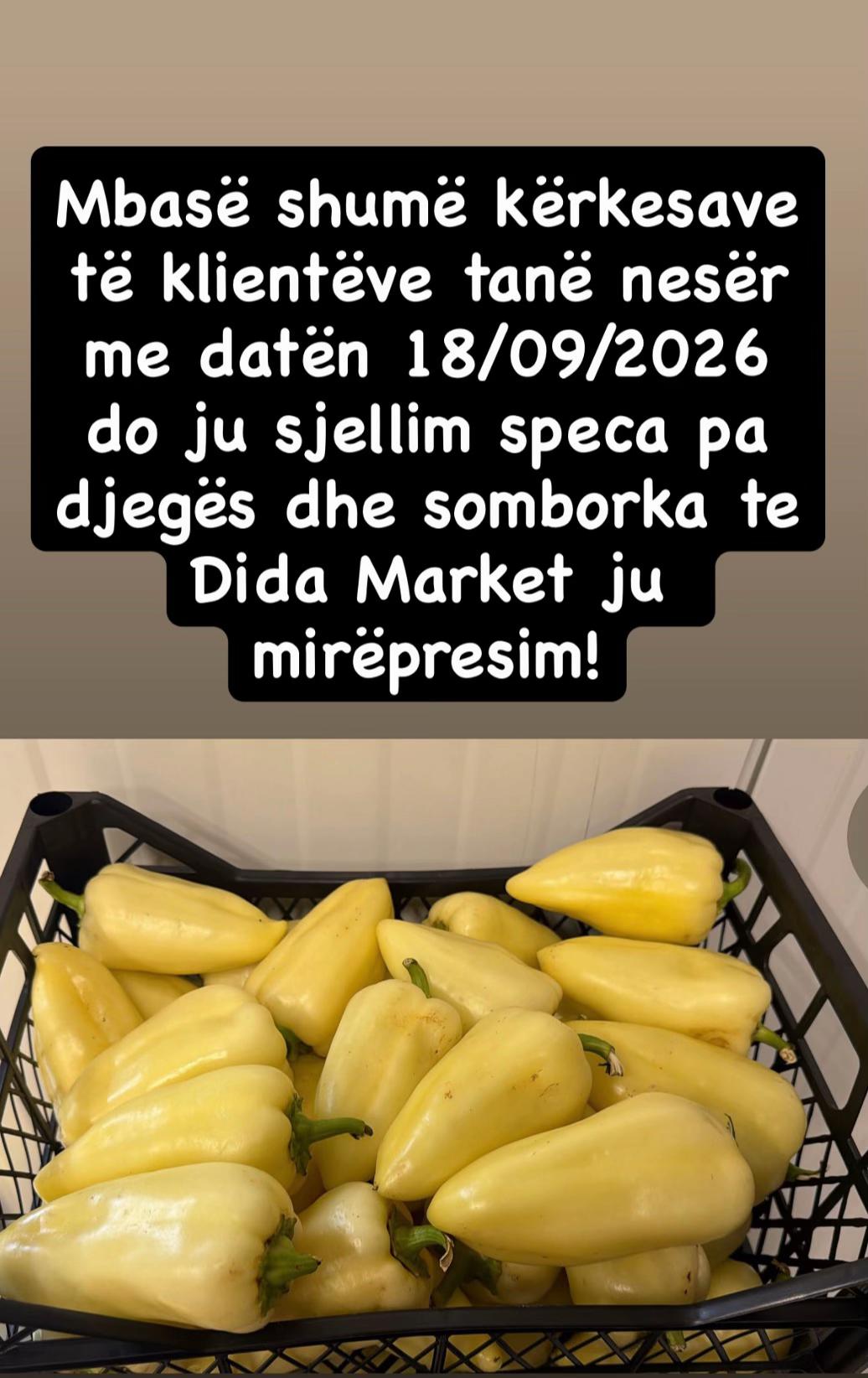 @DidaMarket