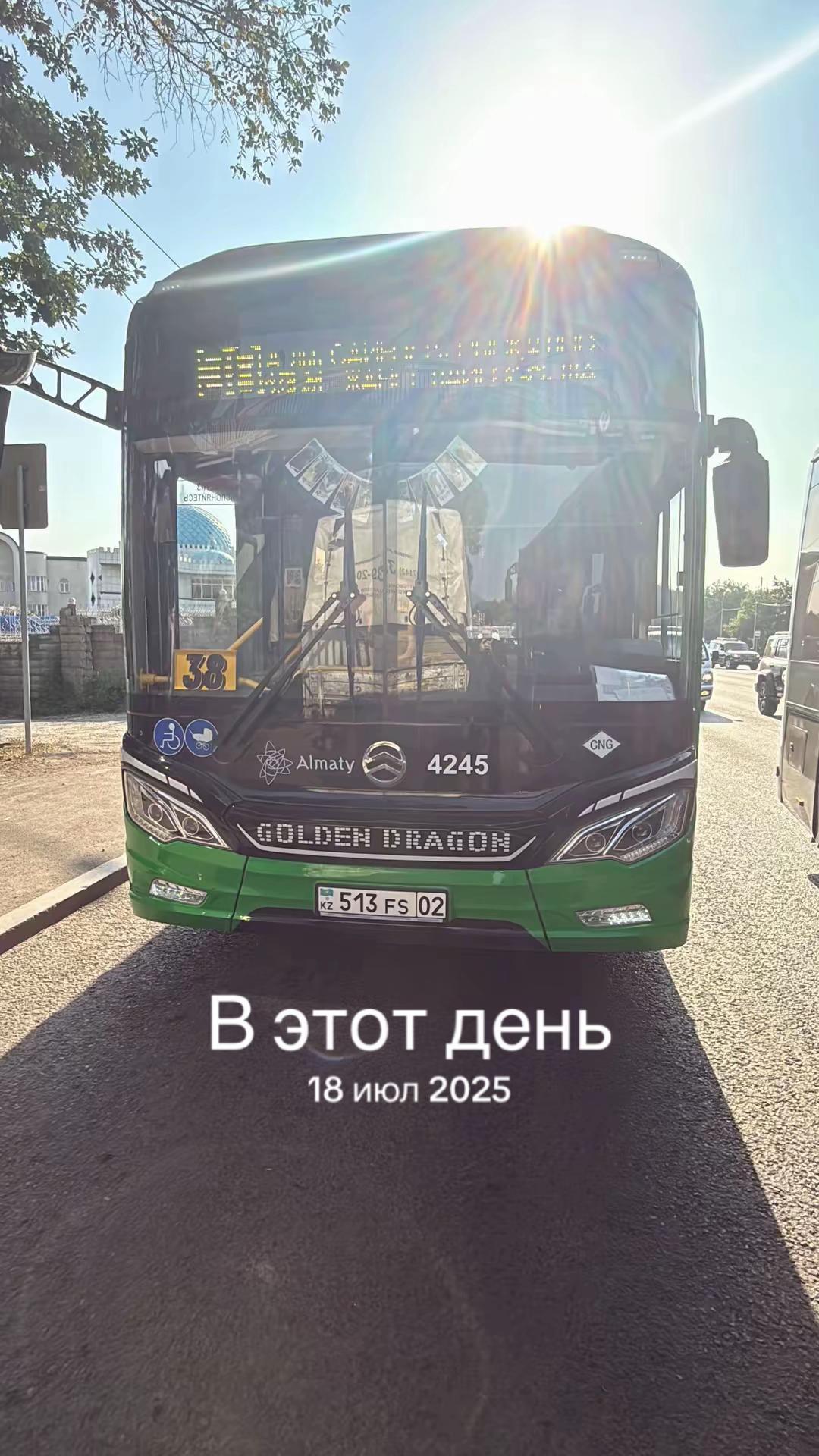 @𝔞𝔩𝔱𝔦_𝔟𝔲𝔰𝔰𝔢𝔰☑️