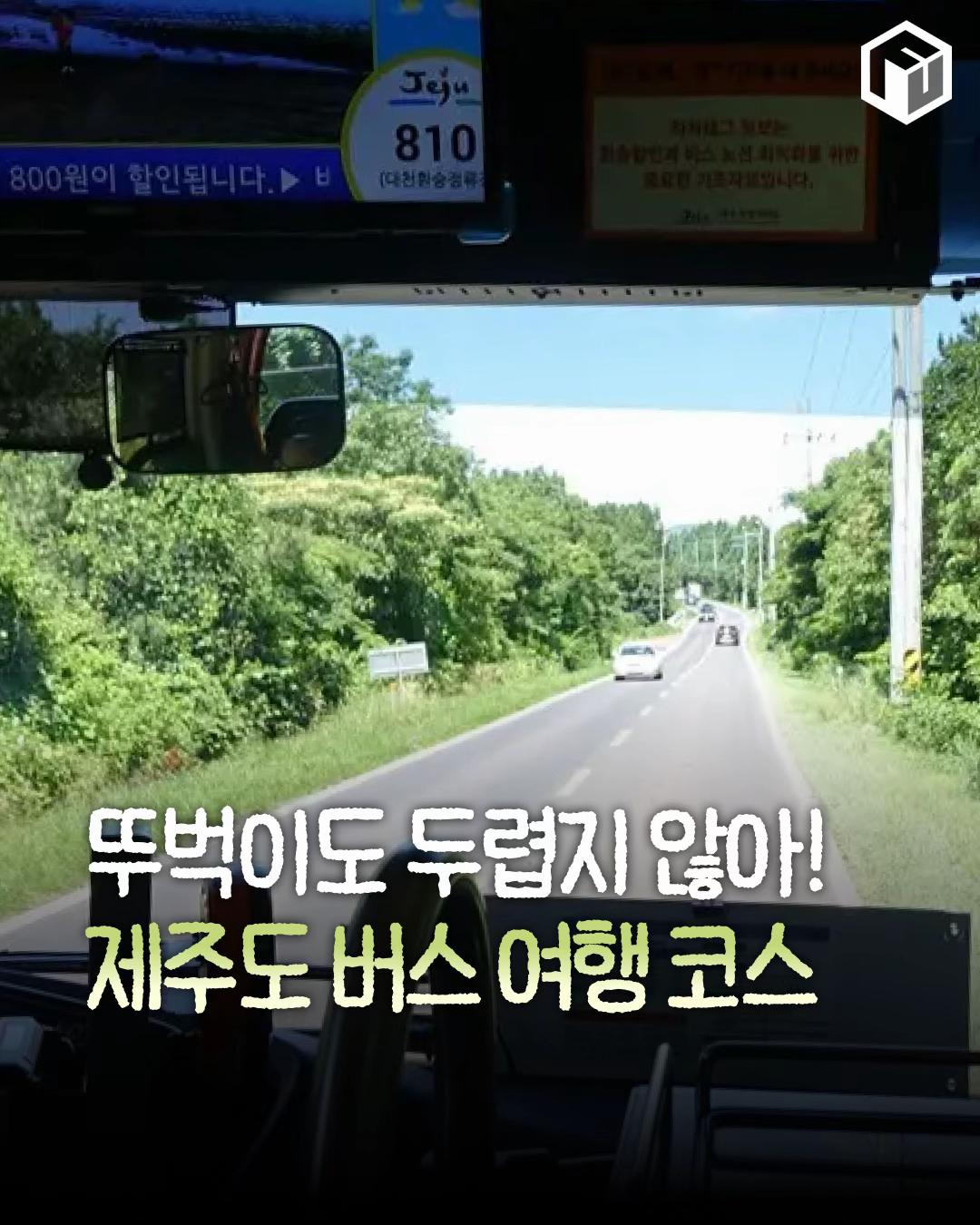 @제주톡톡