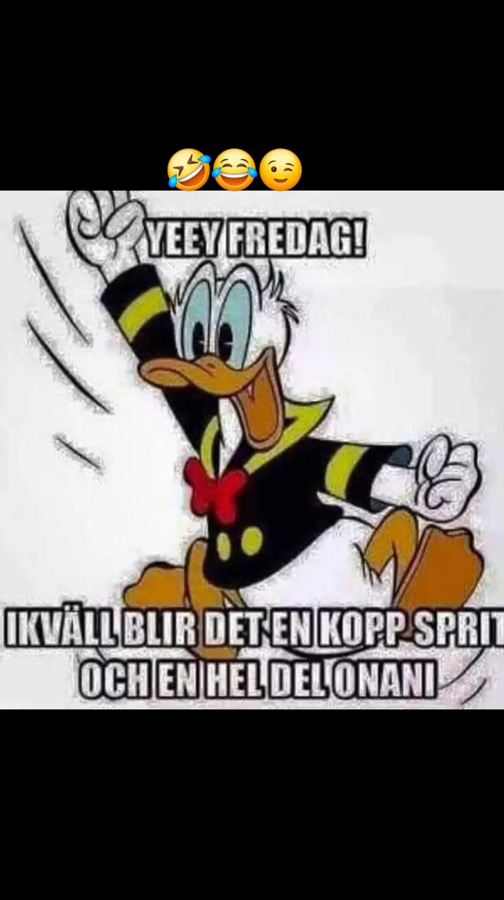 @Anne Honkonen