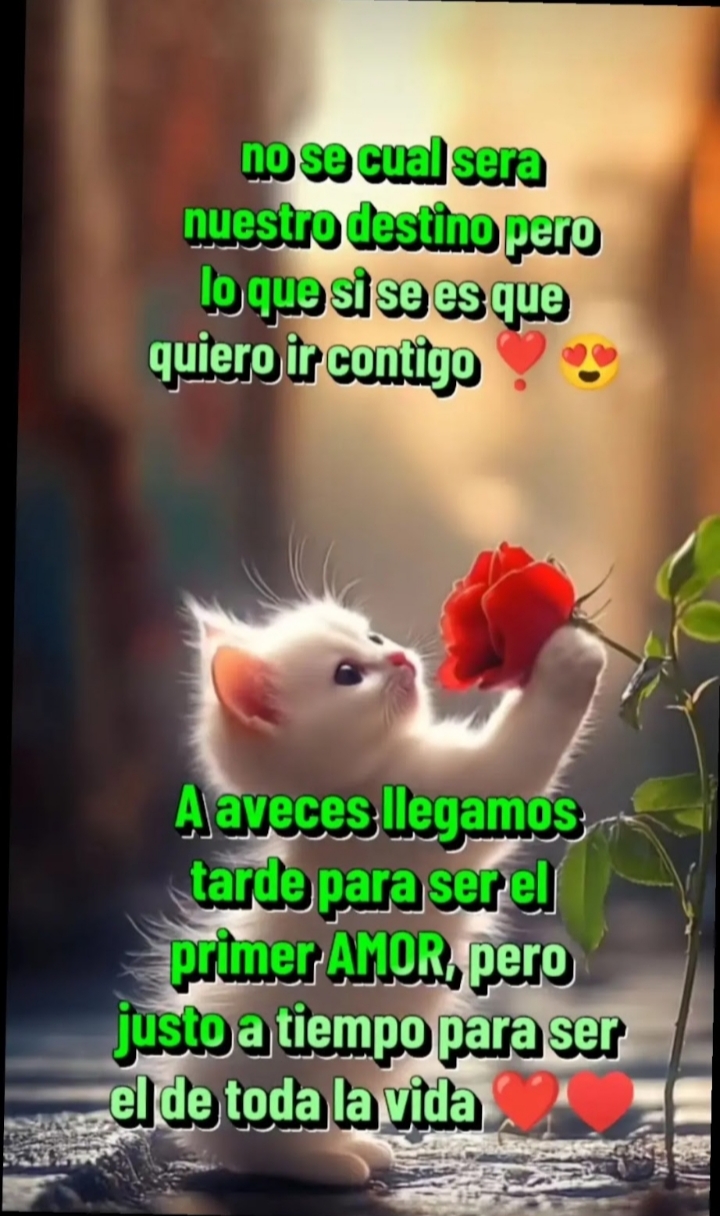@Rafael Vázquez Jiménez