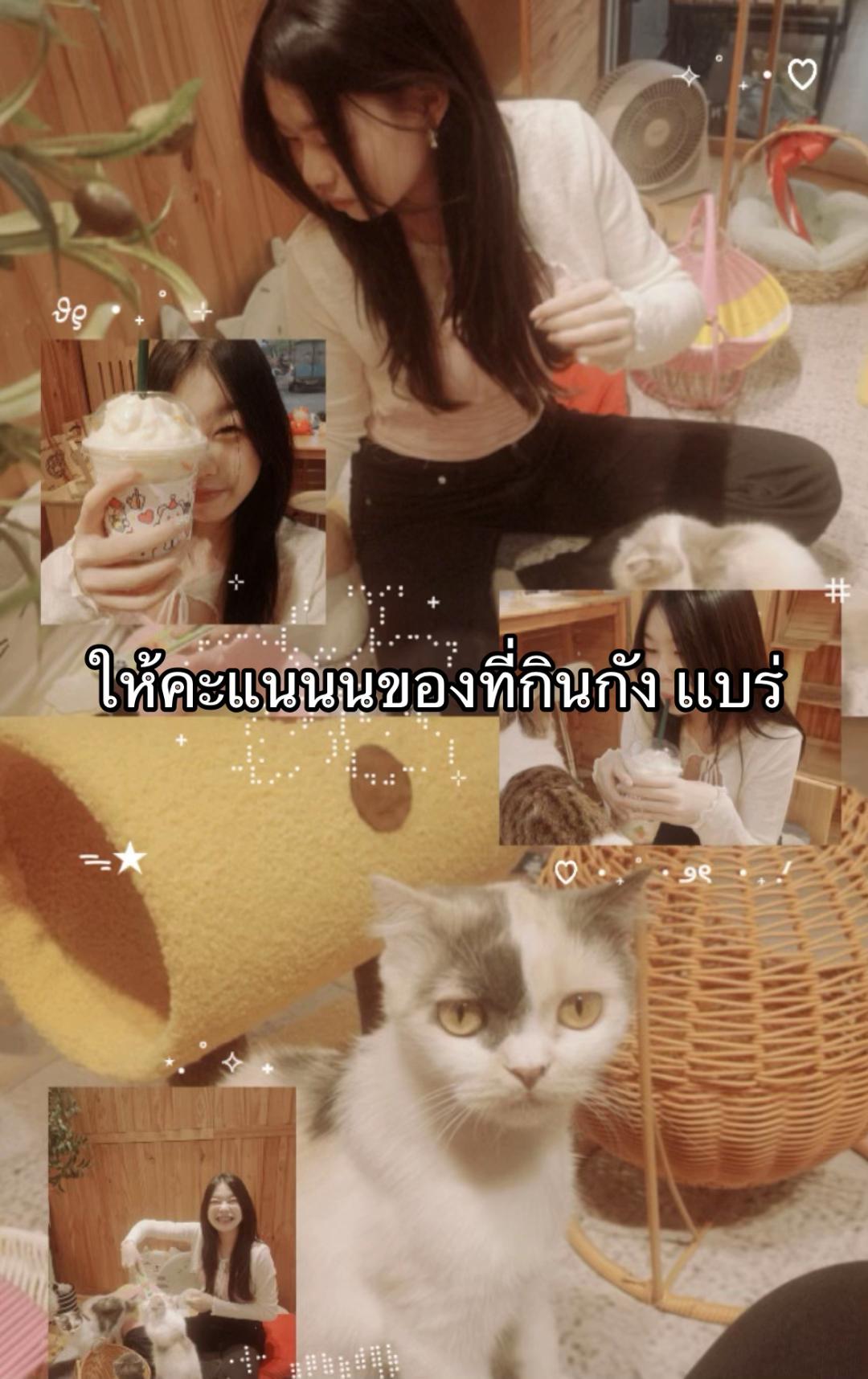 @meawtang