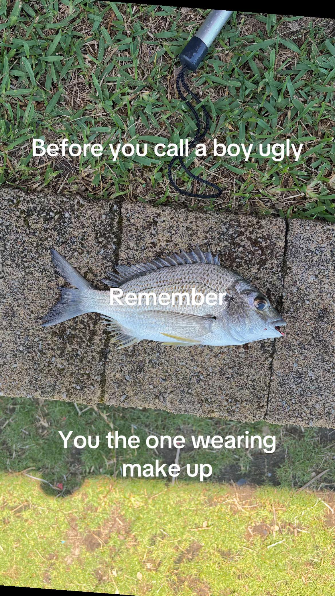 @Brock Milton