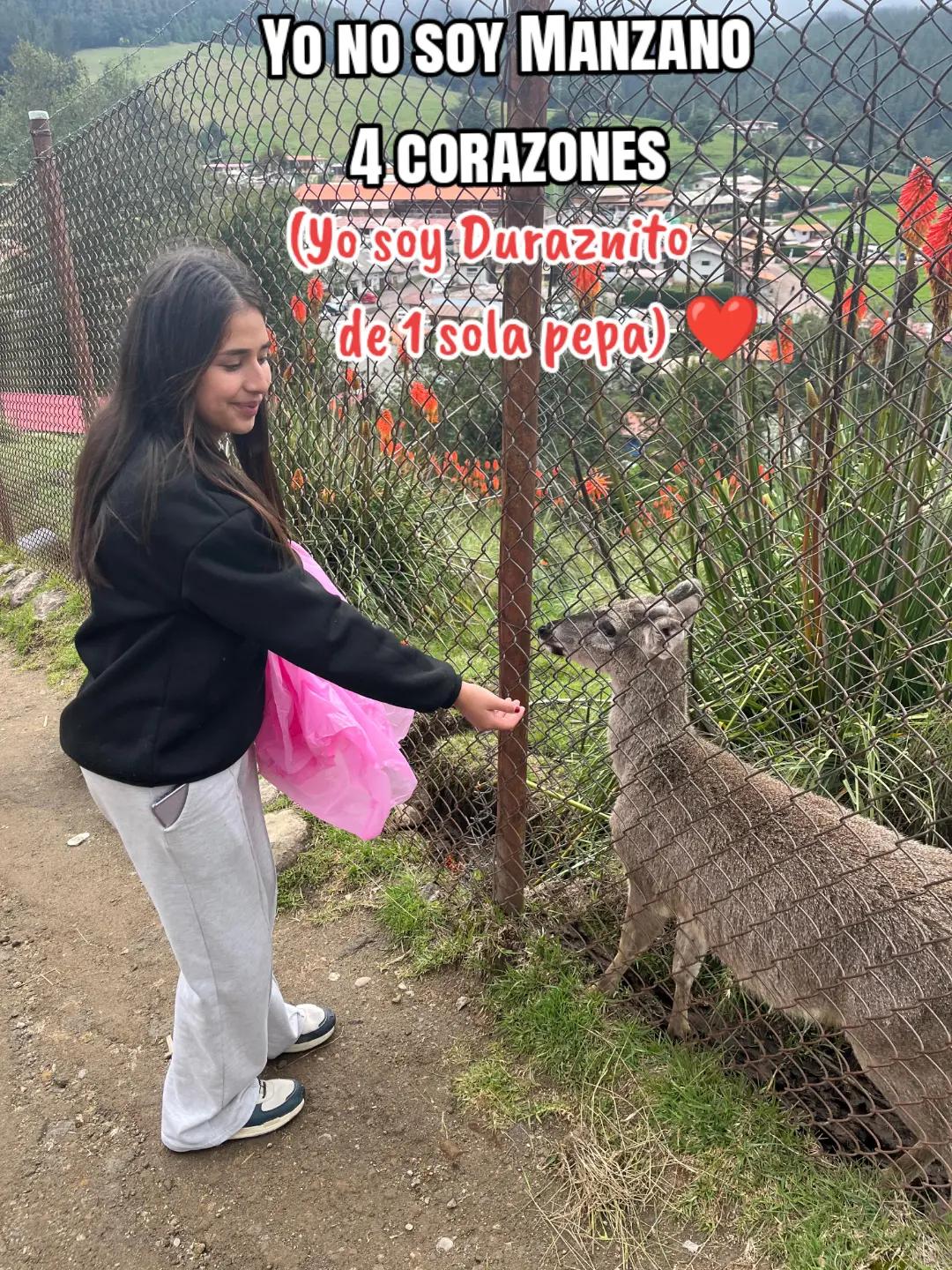 @🩷Yahaira Alejandria 🌸