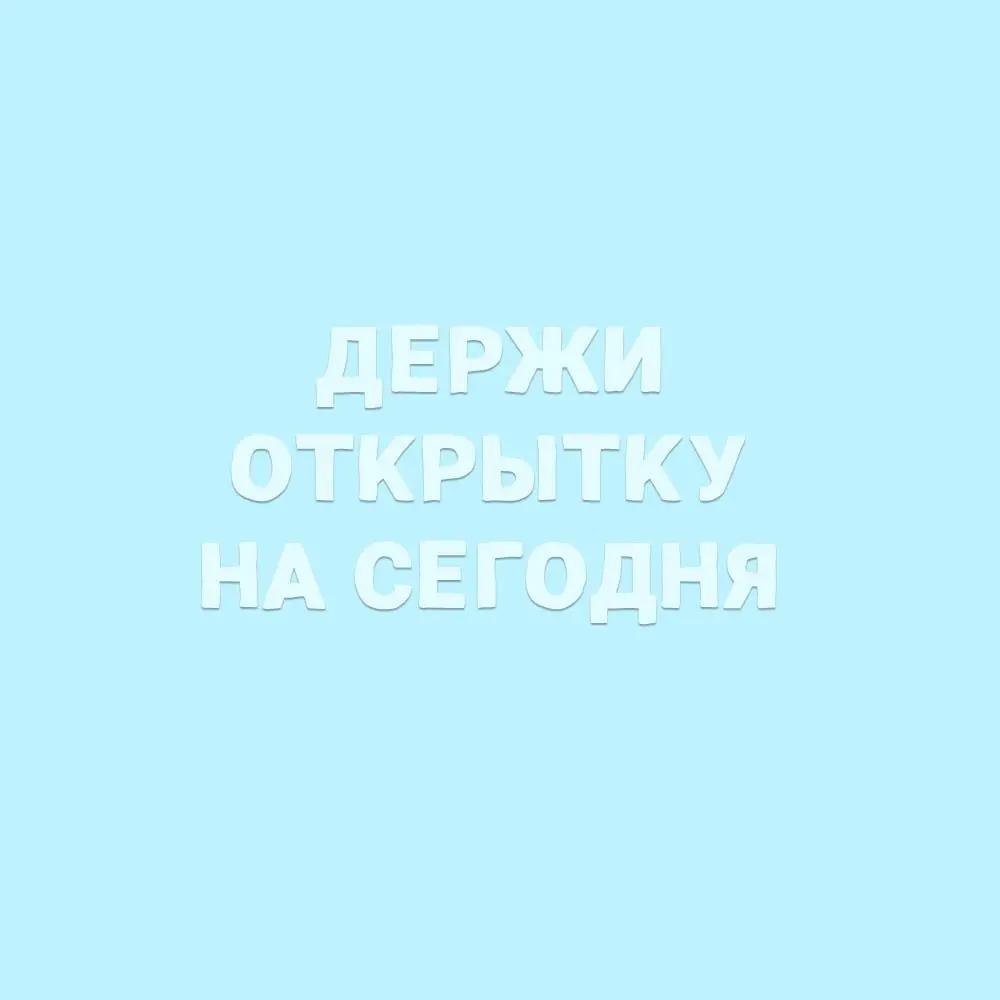 @SHiN_XL🐾