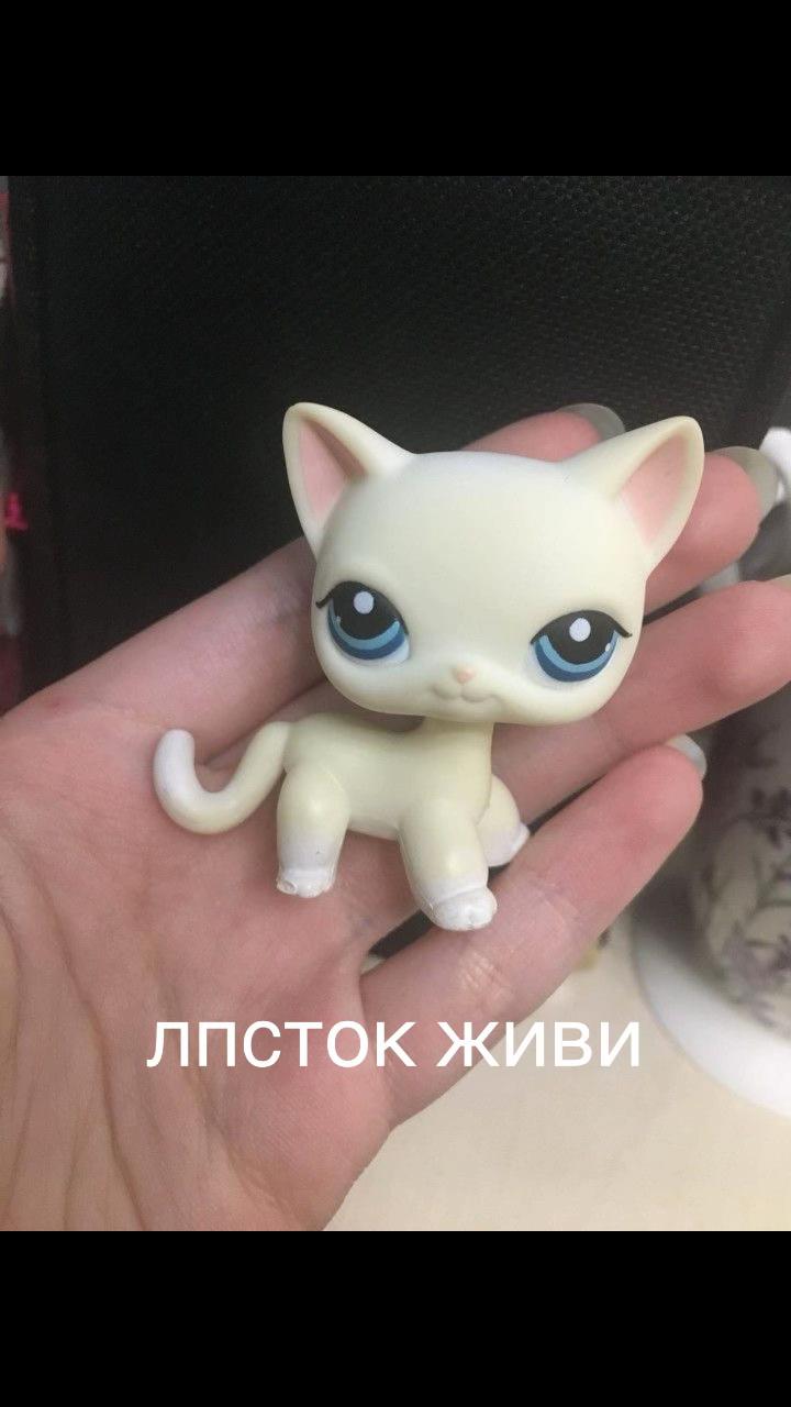 @лпс стоячка