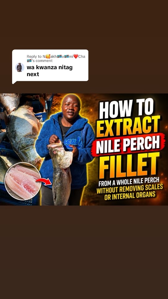 @VISUAL_BENTAH🇰🇪