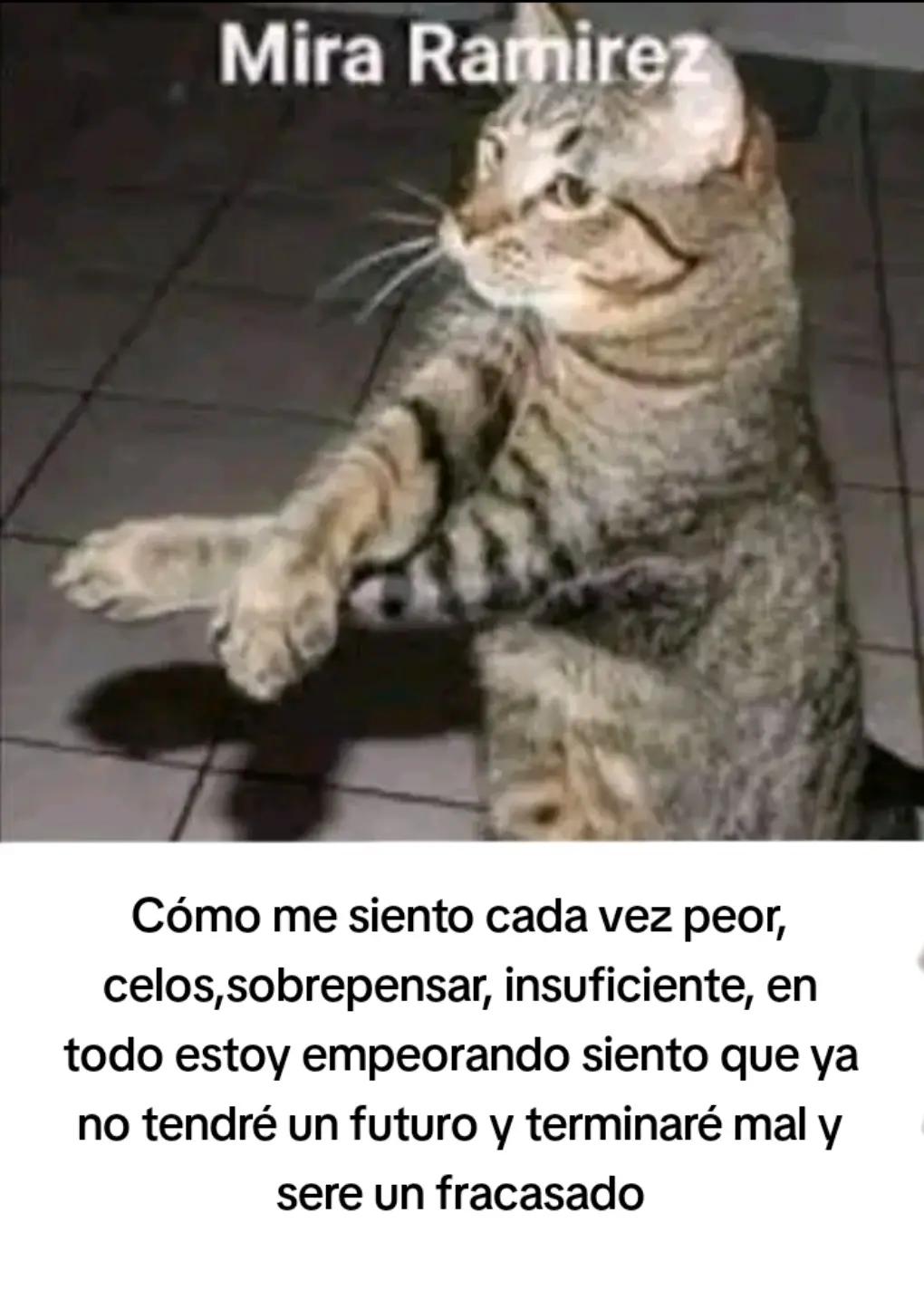 @Alexis - Kun🦇