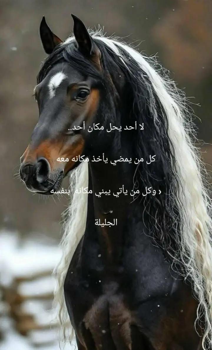 @ليلى فهد الشمالي