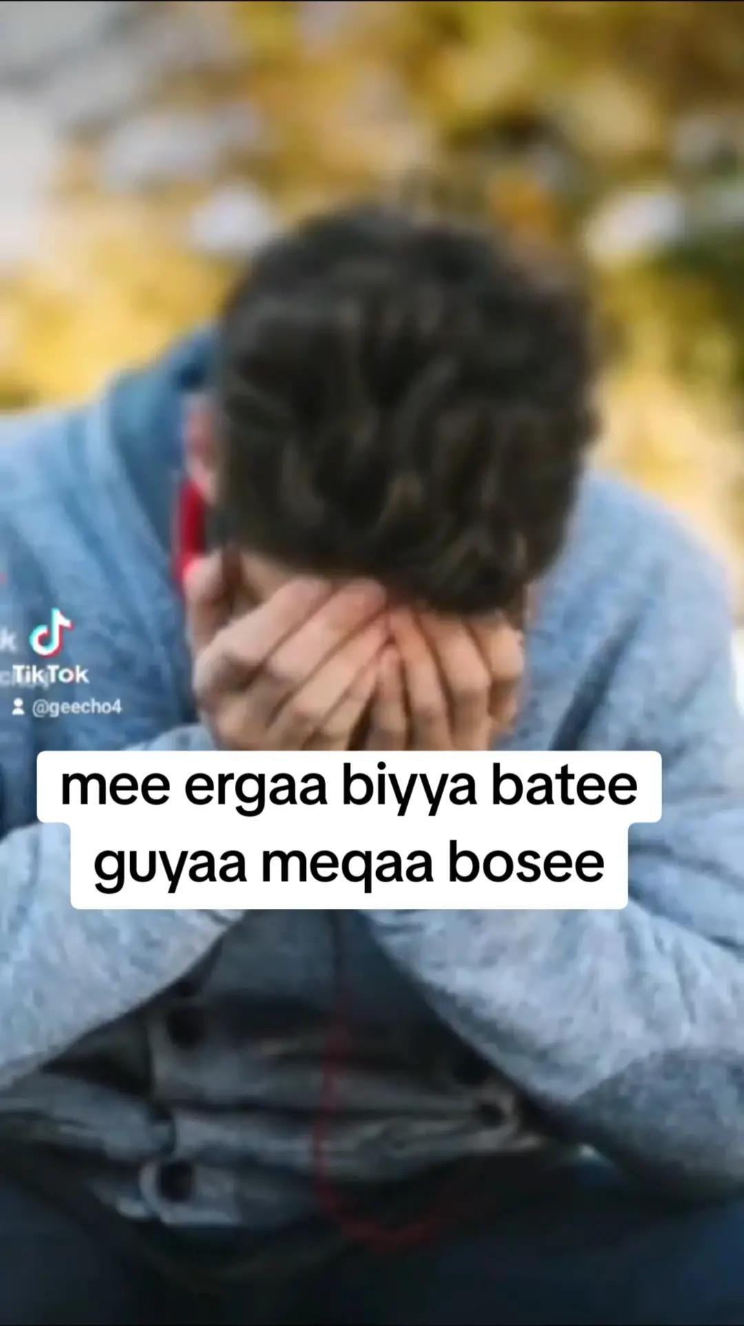@geecho ambo