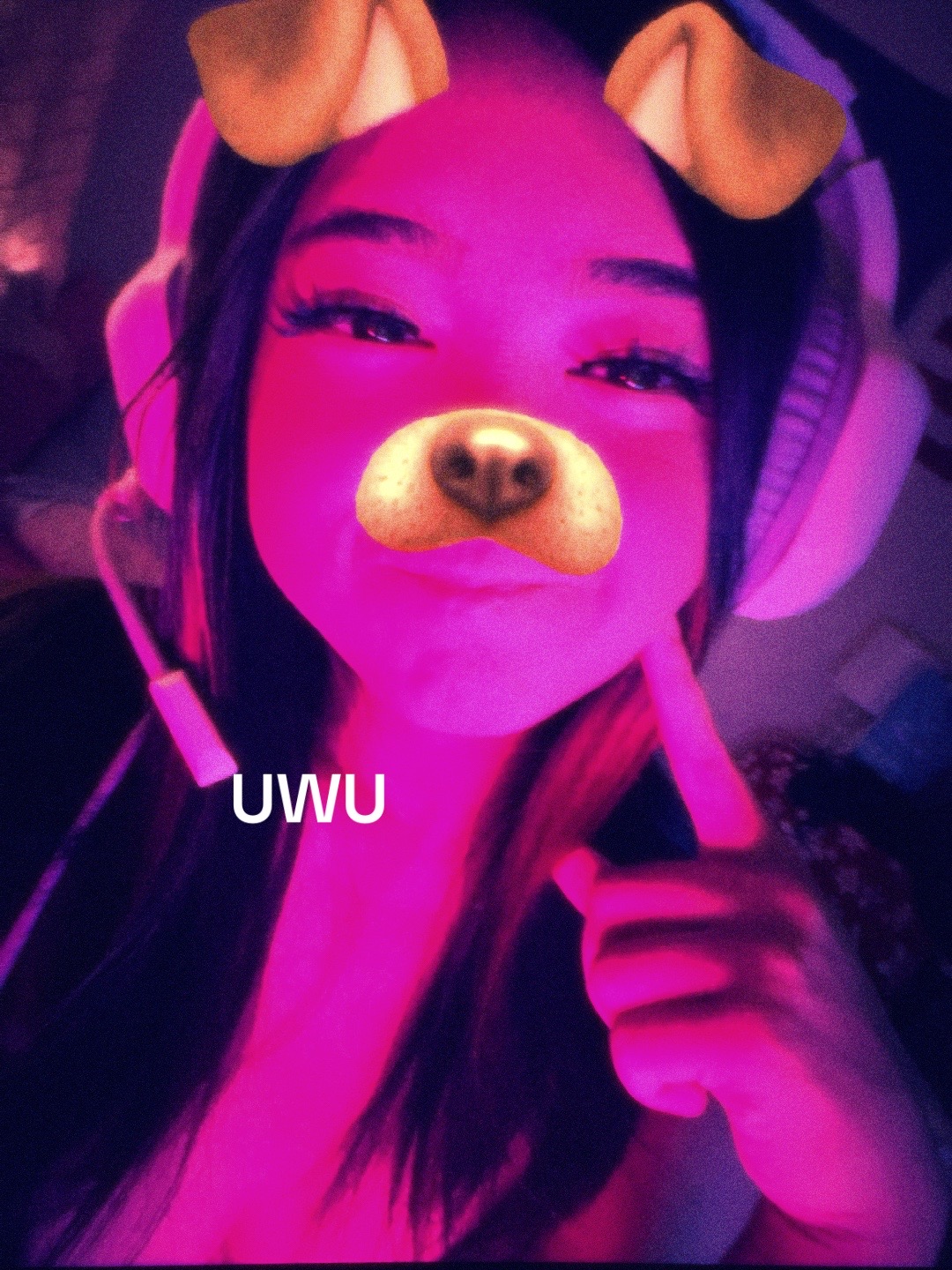 @tinypito