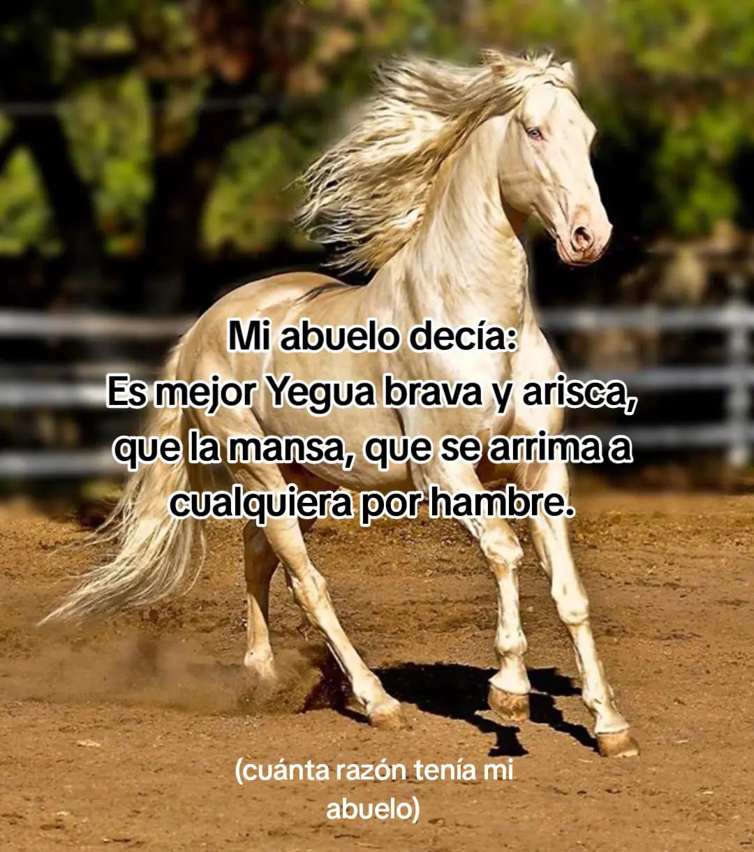 @Frases, humor y más.