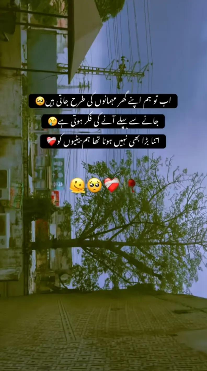 @ہمسفر کی لاڈلی👑😘🧿
