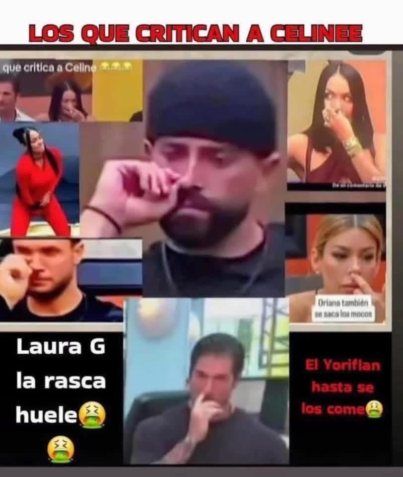 @Rosalia Abreu543