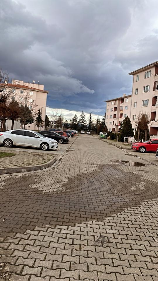 @Sultan