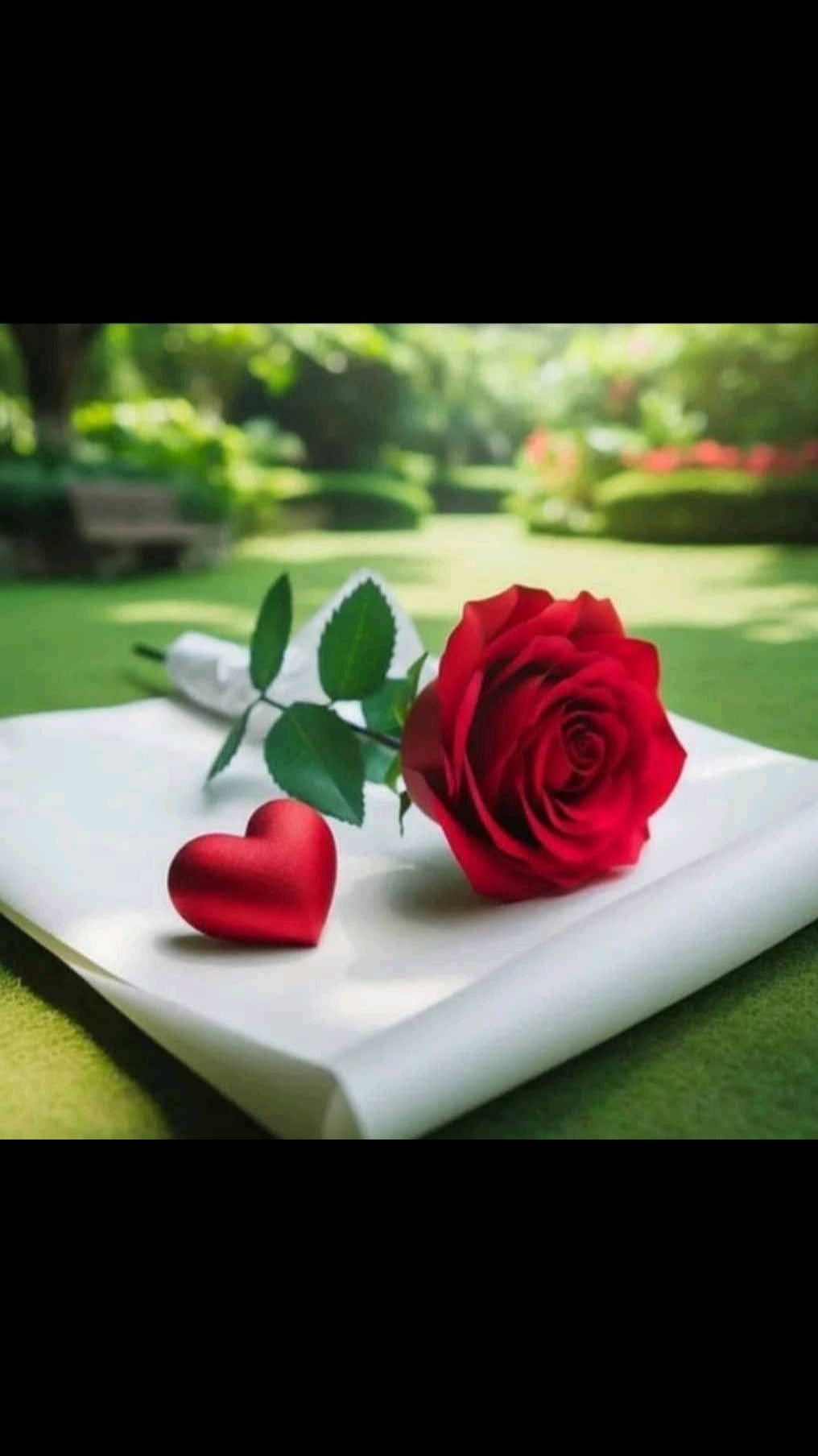 @ریس راهیلو بی بروا