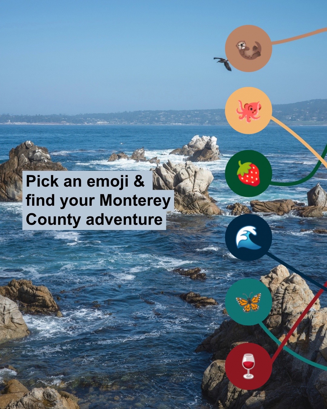 @SeeMonterey