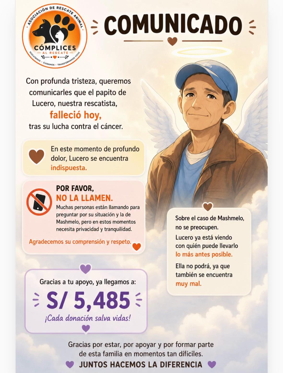 @Cómplices al rescate_11🐾