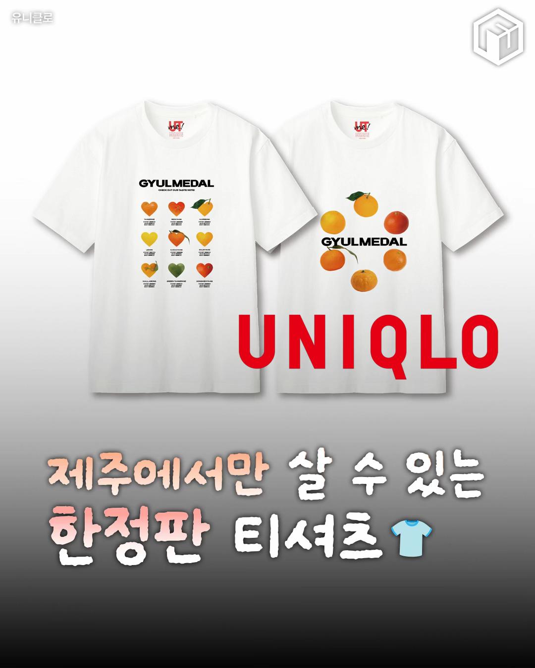 @제주톡톡