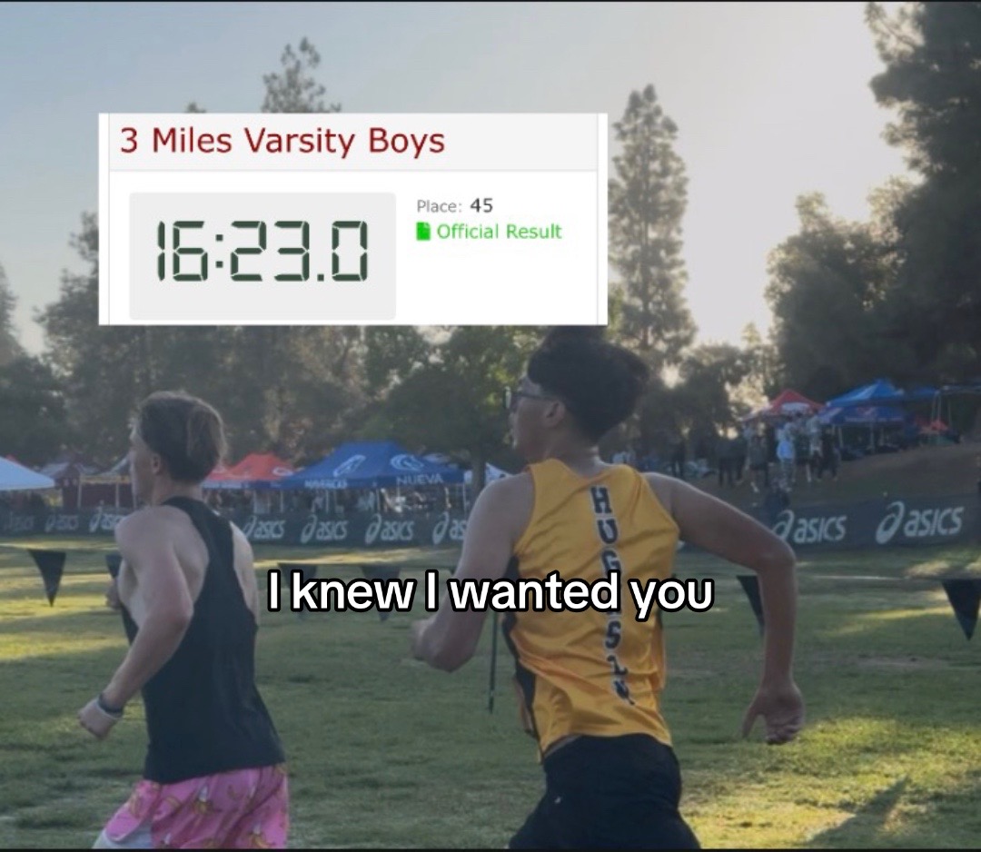 @gavinbeckmen0