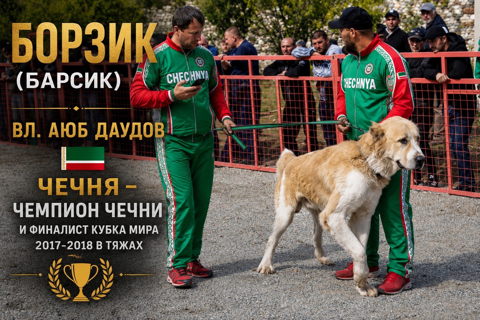 @Собачьи Легенды