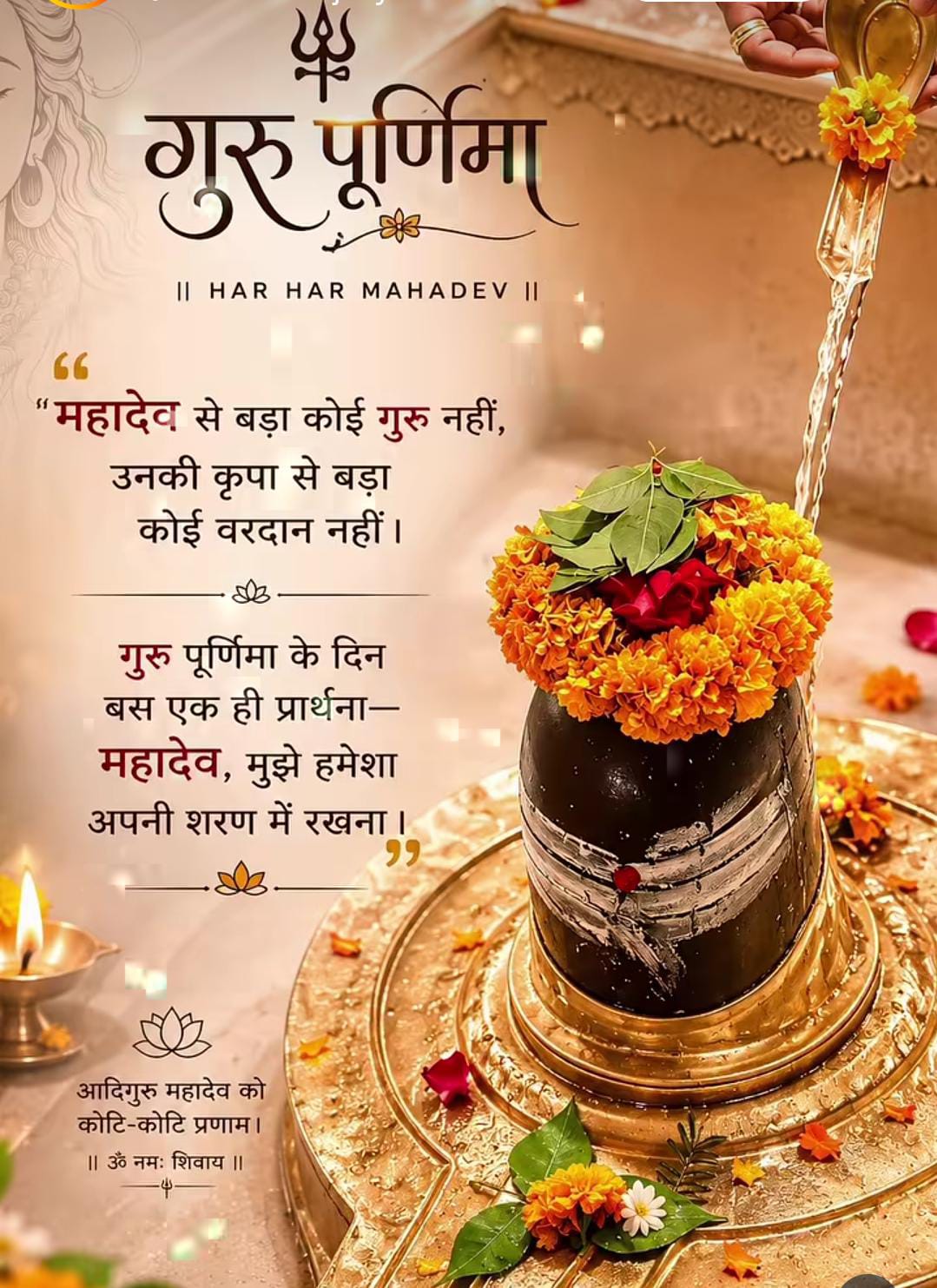 @Anjani Thakur🌻🌻