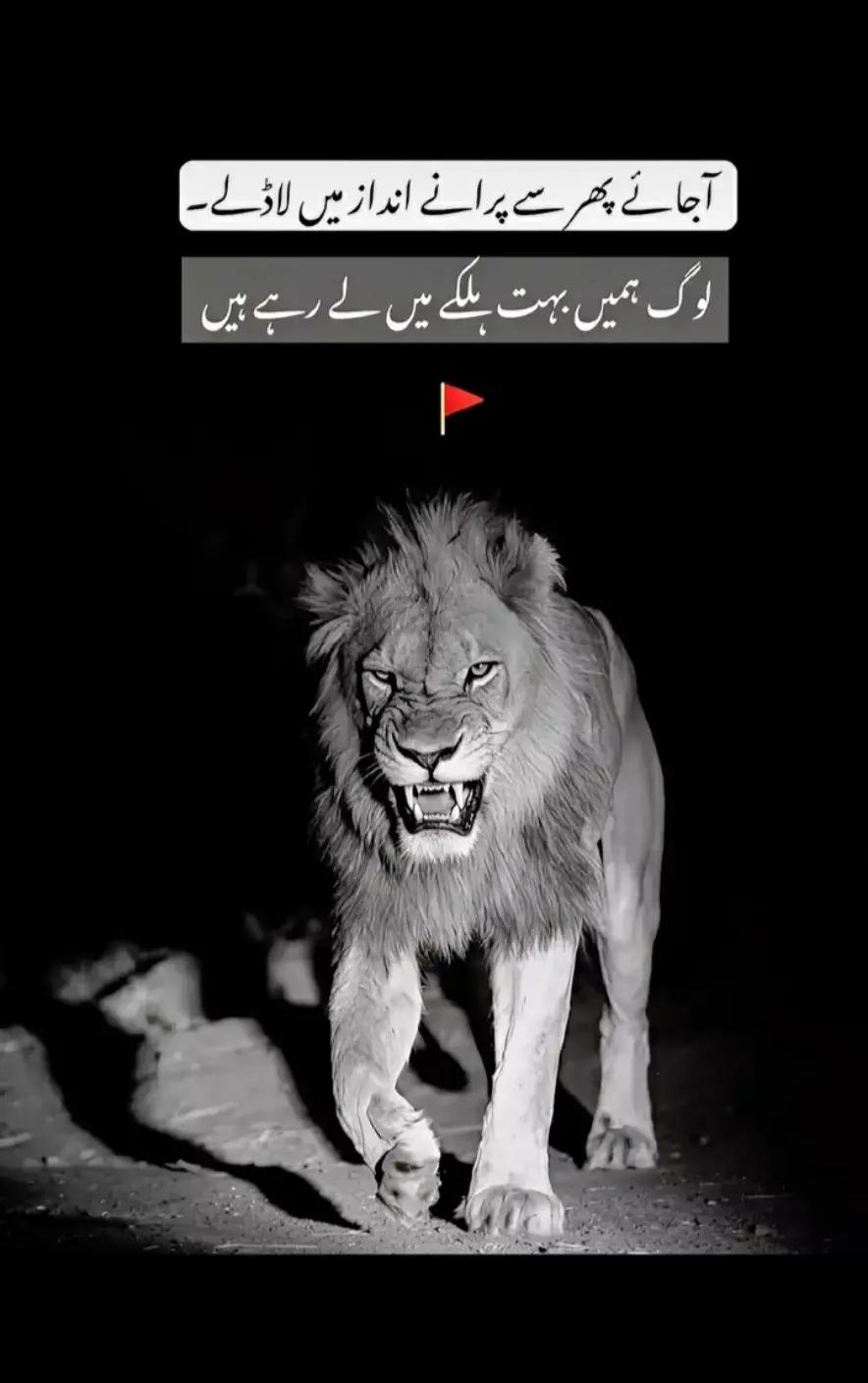 @Samundar khan