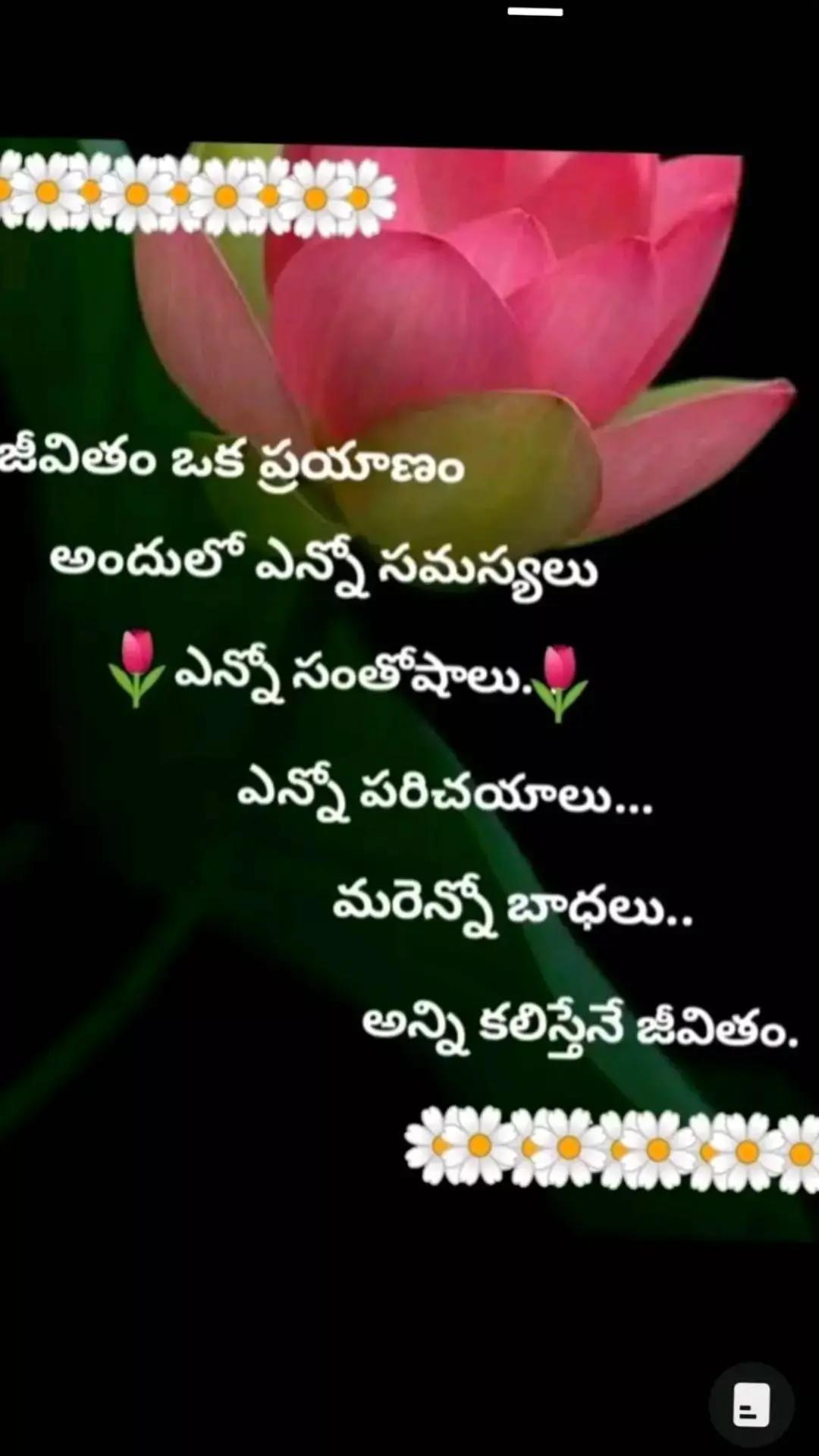 @🐾🐅S💚S🐾Mylove🐾Marry🐾🐅