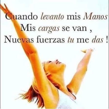 @Maritza Guevara / Designer