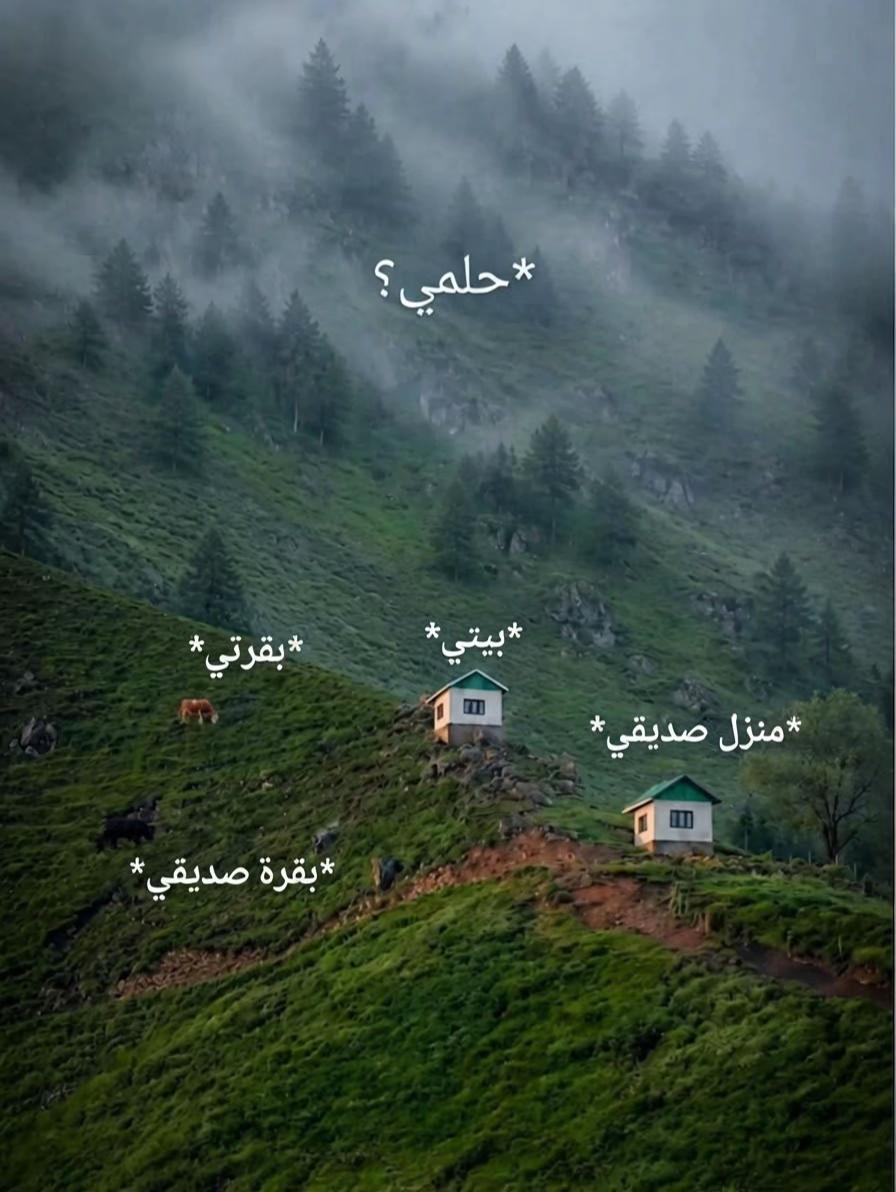 @كابتن معتز | صانع محتوى