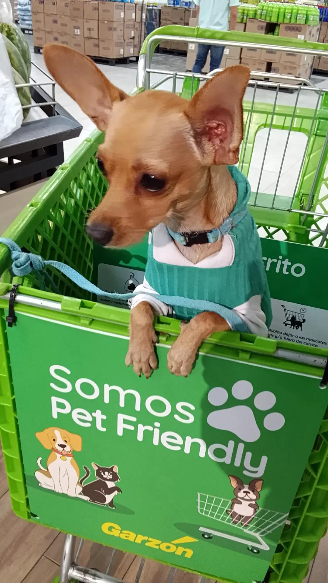 @🐶 Benji_Mya 🐾🐕
