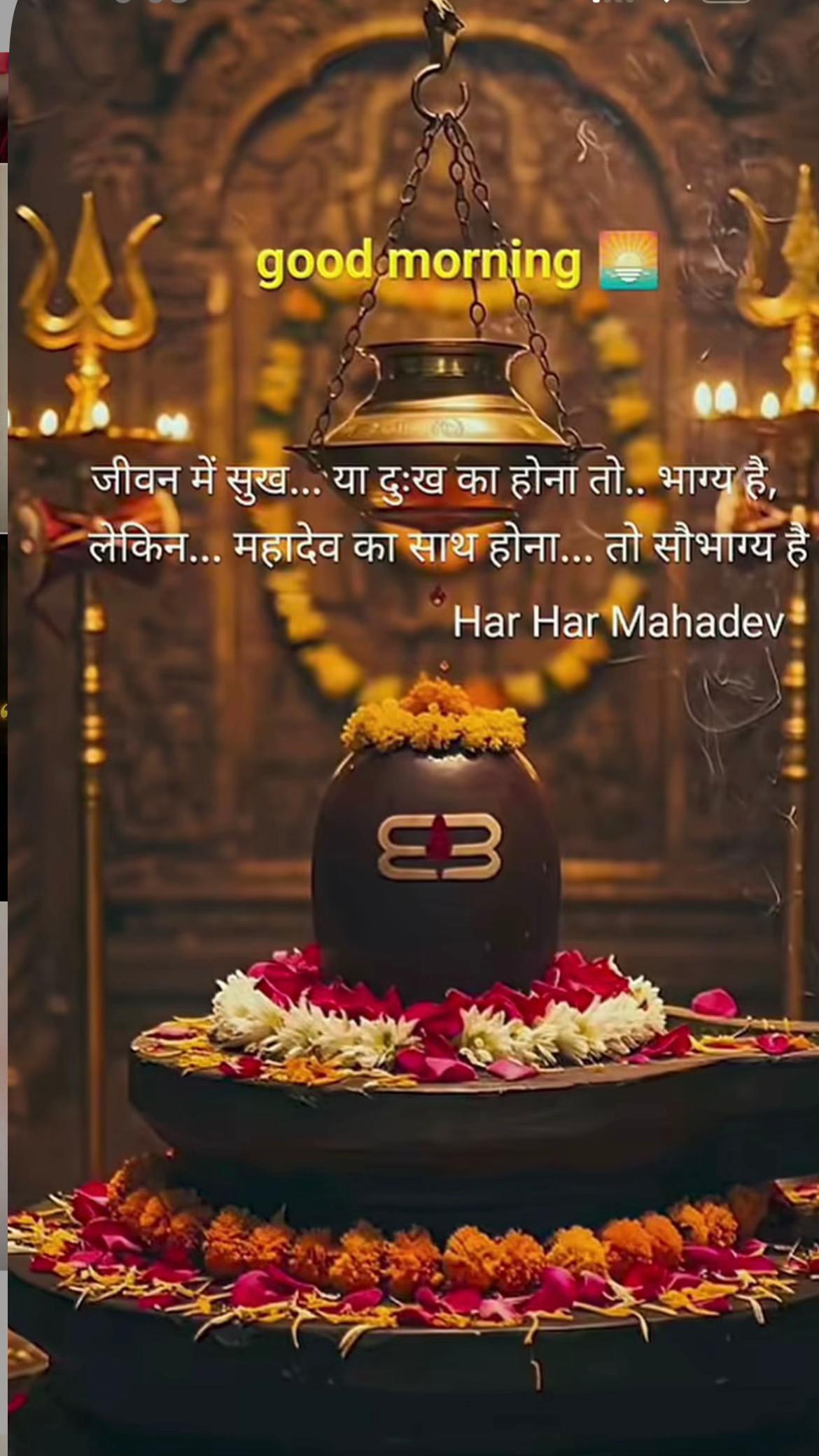 @Ankitadigitalhub