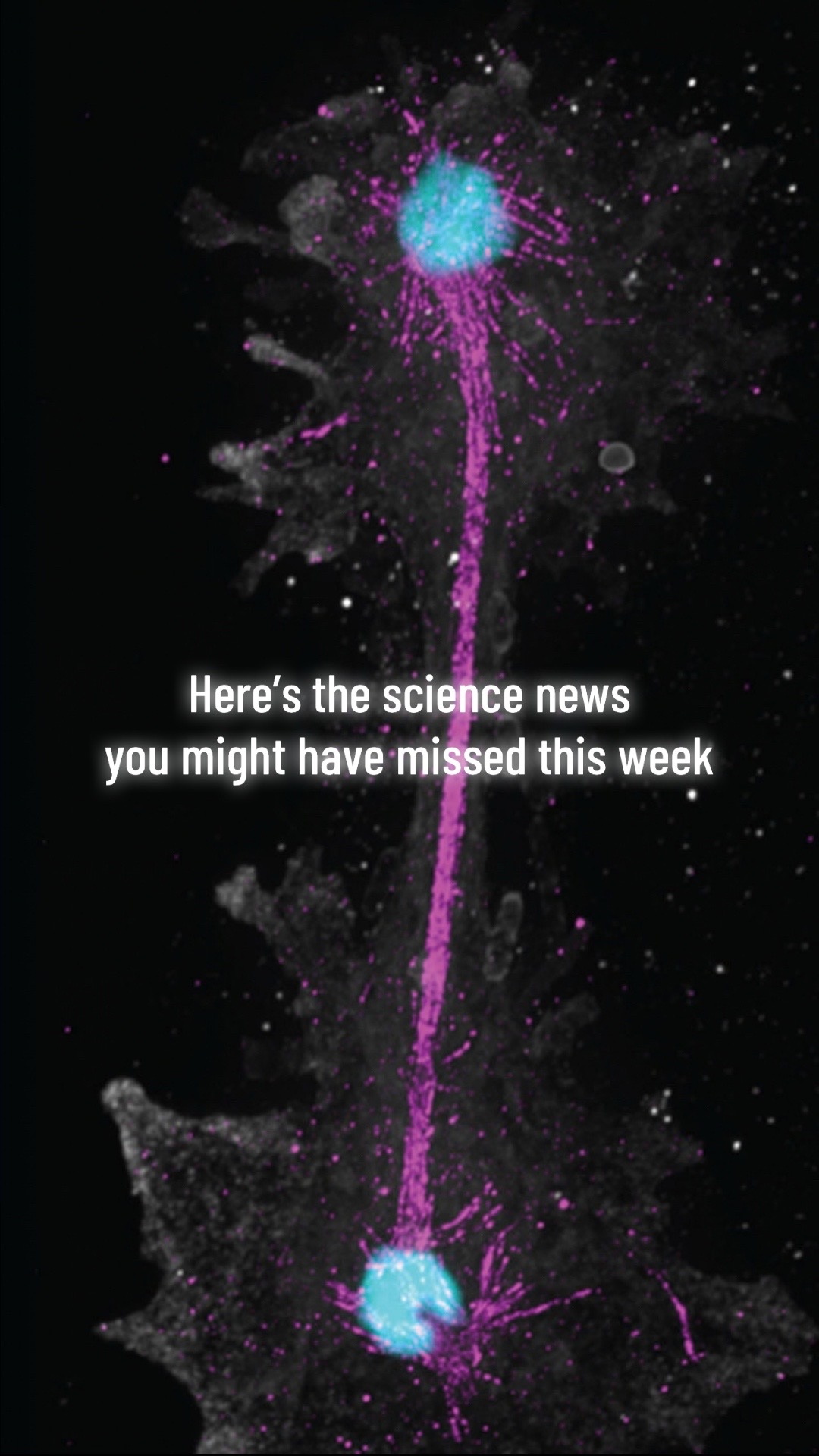 @Science News