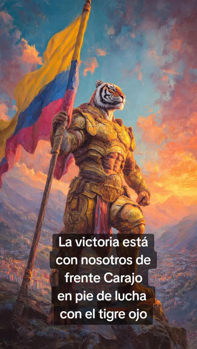 @Noticias zorrito