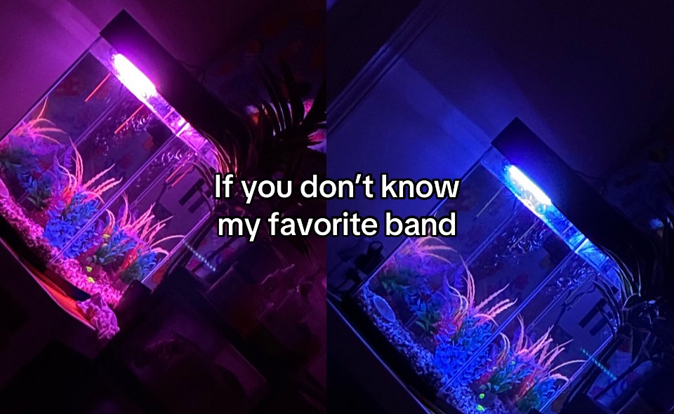 @✮🫀.sᴀᴍᴍɪᴇ.🫀✮