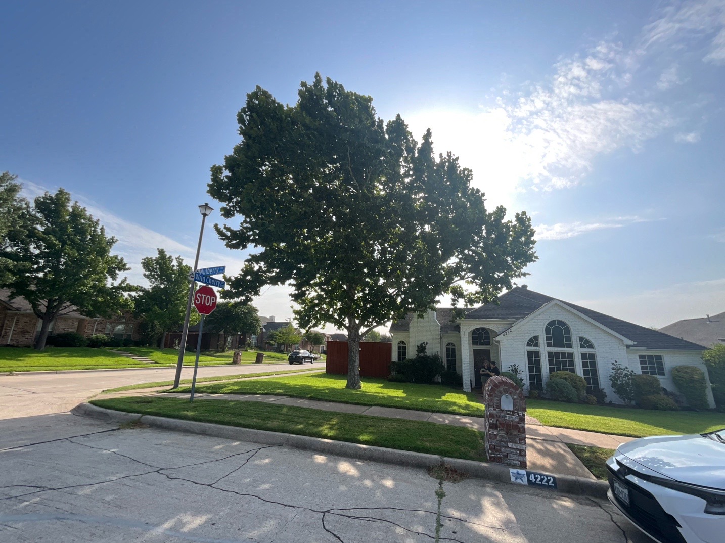 @Live Oak Tree Service