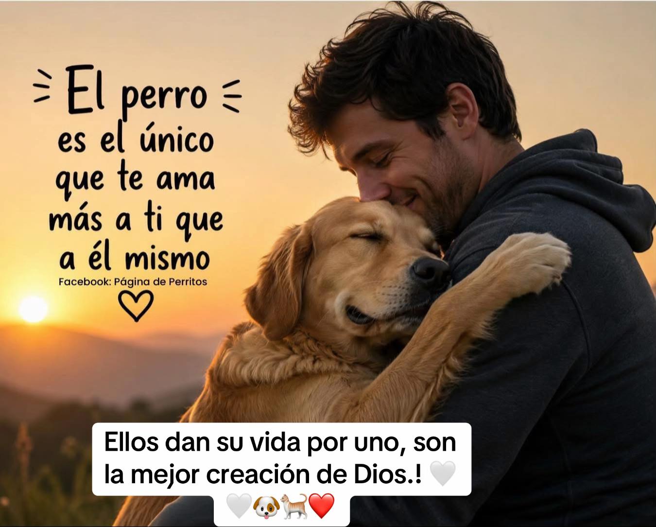 @Patricia Briceño