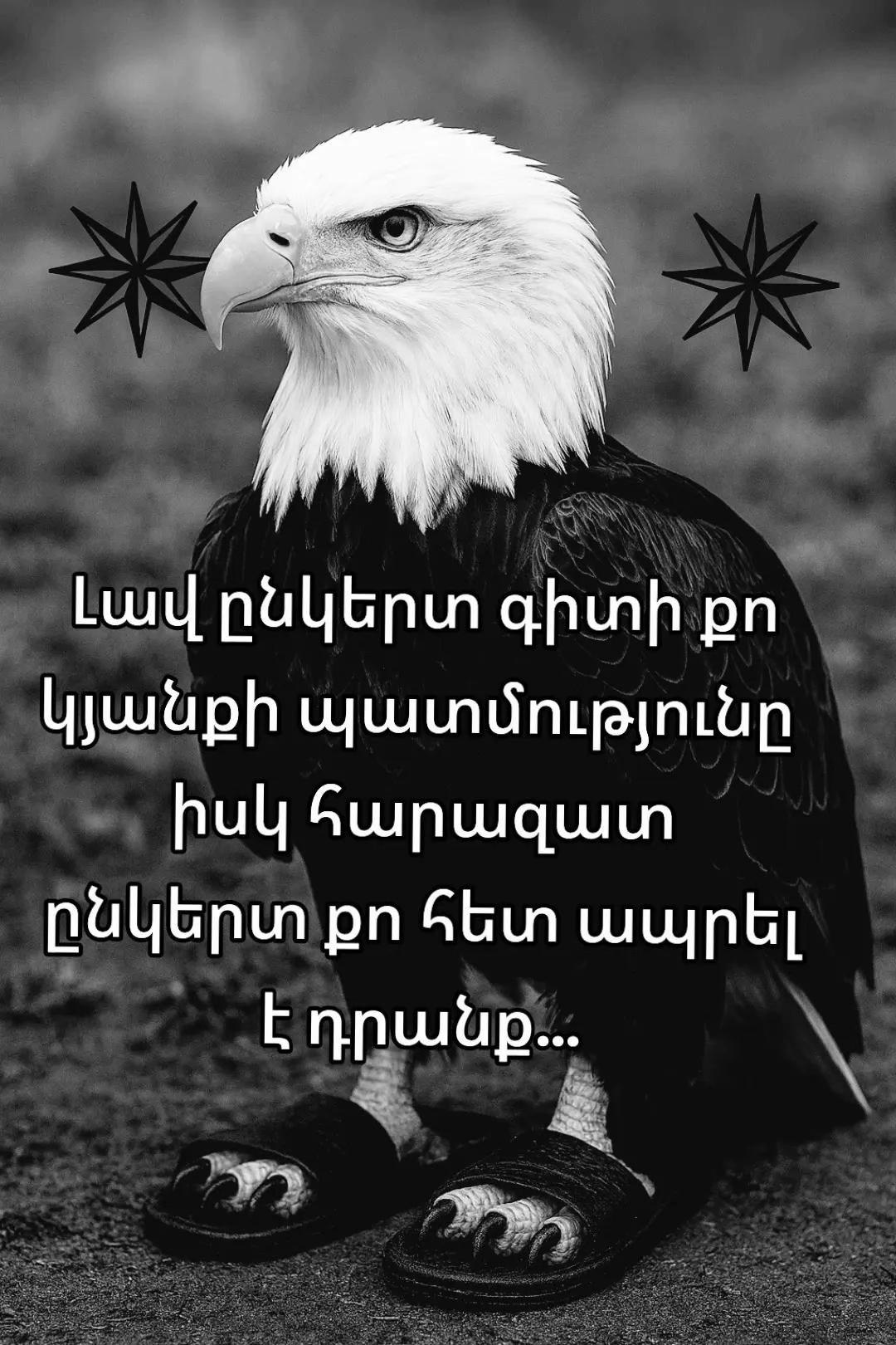 @🦅✵~𝑴𝒆𝒎~✵🫀