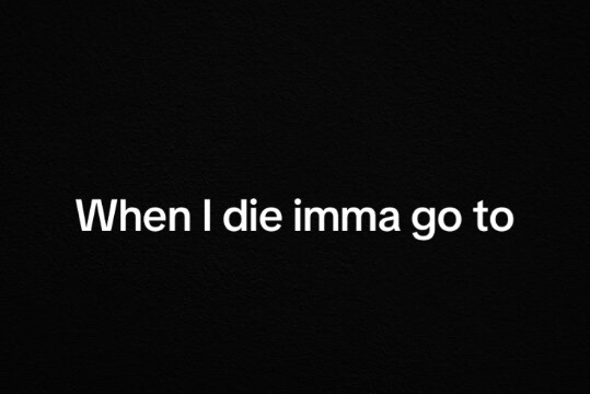@Alpha 🐺