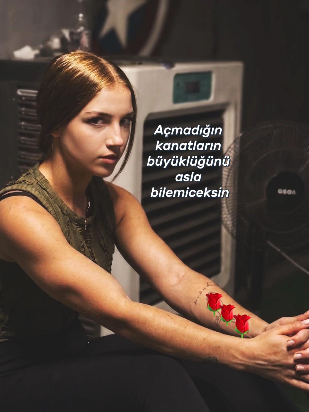 @acelyyasko