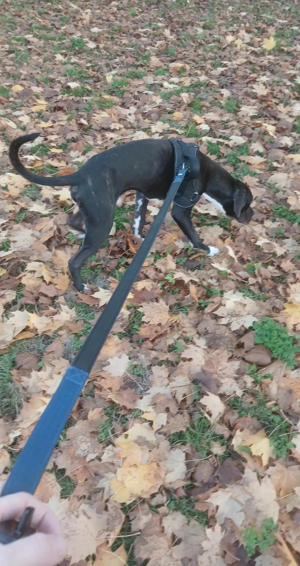 @MAJOR.260225
