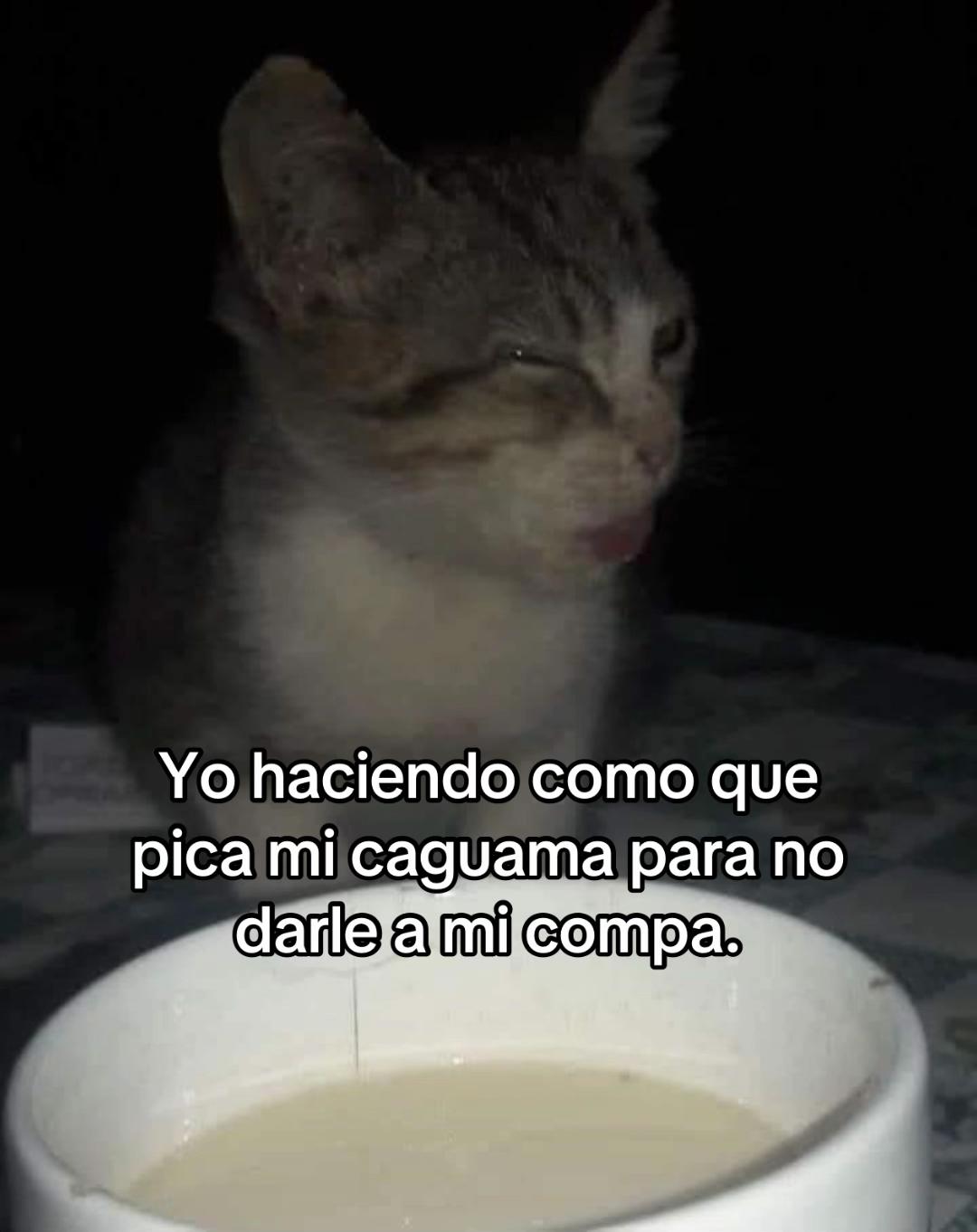 @Oso1819