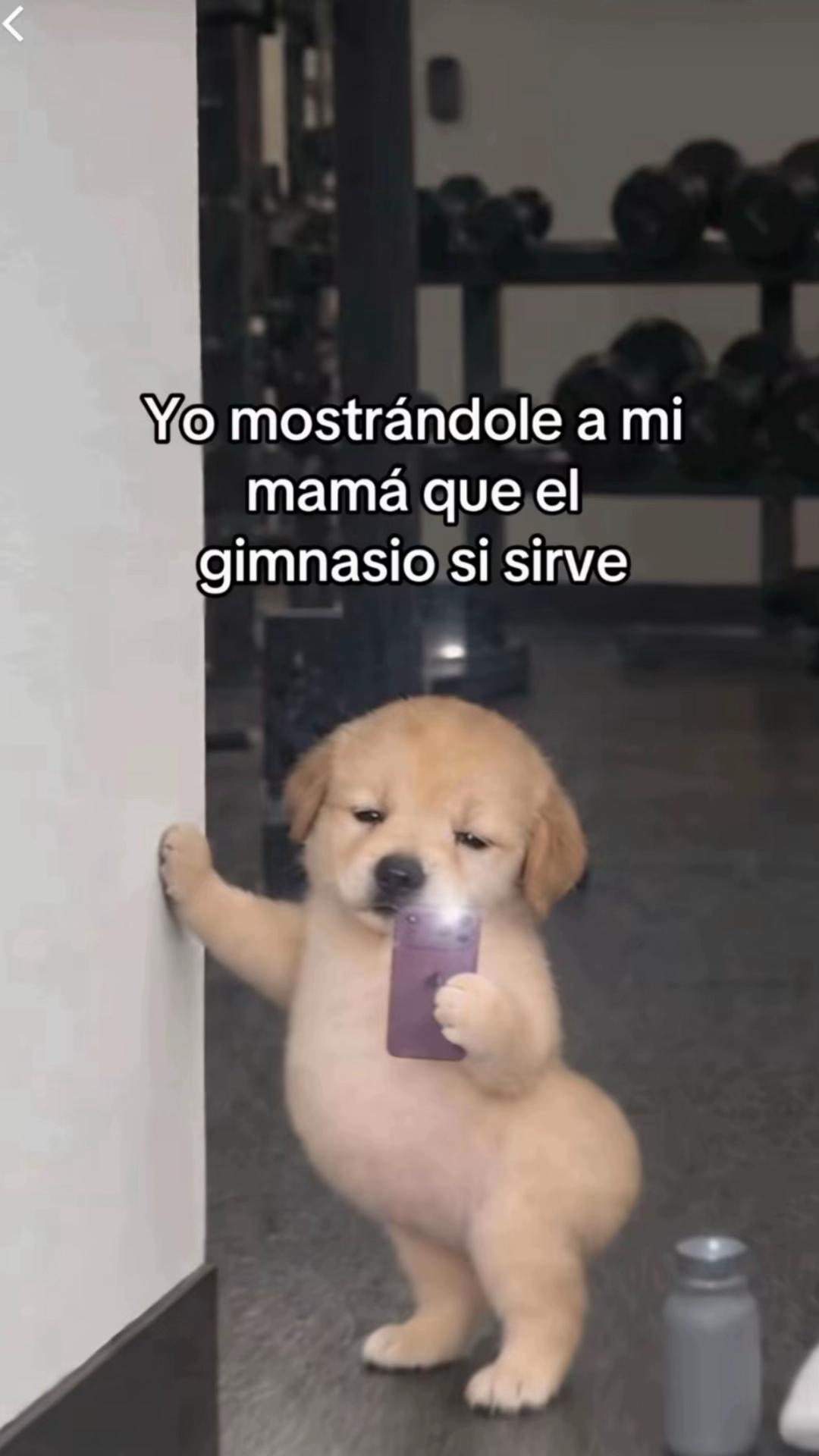 @Cesar Olemar 🧬