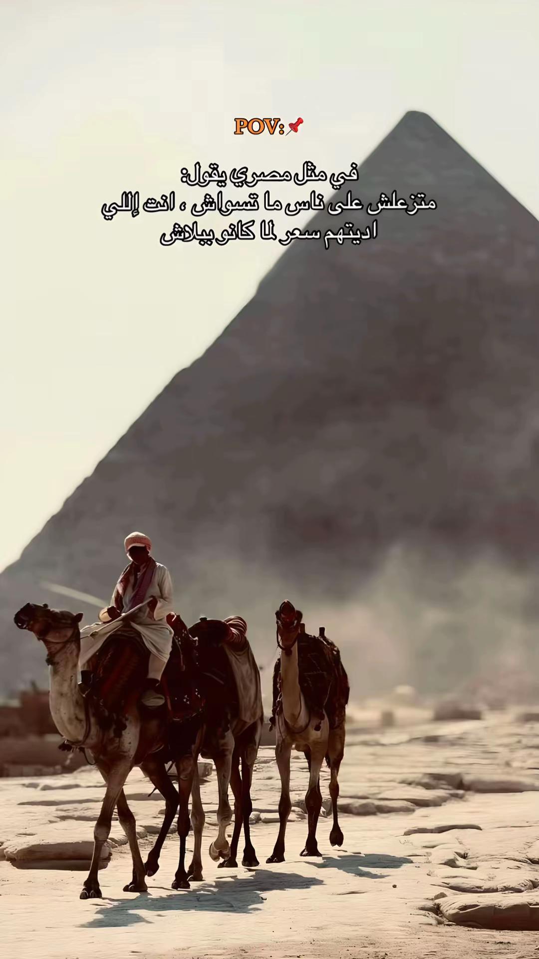 @لـيـث ،
