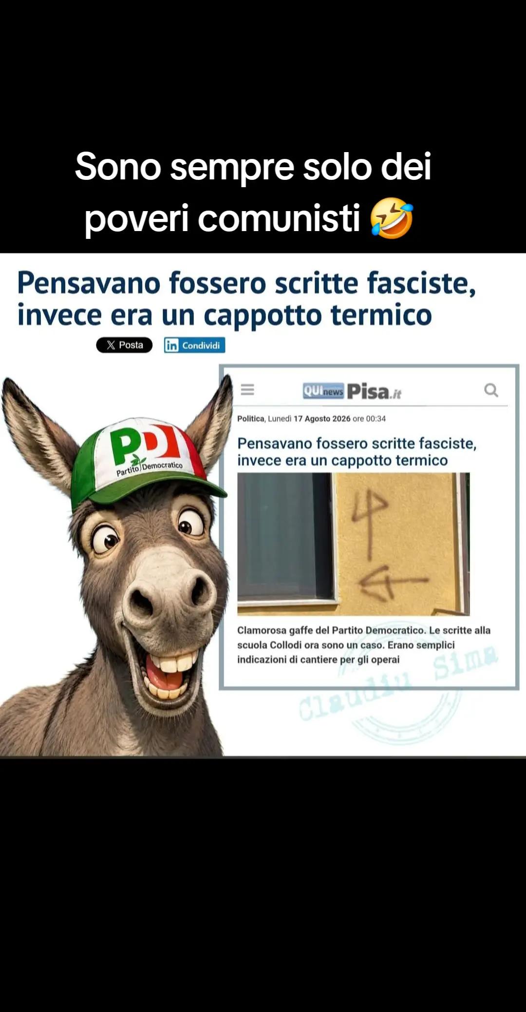@Elisa Campioli