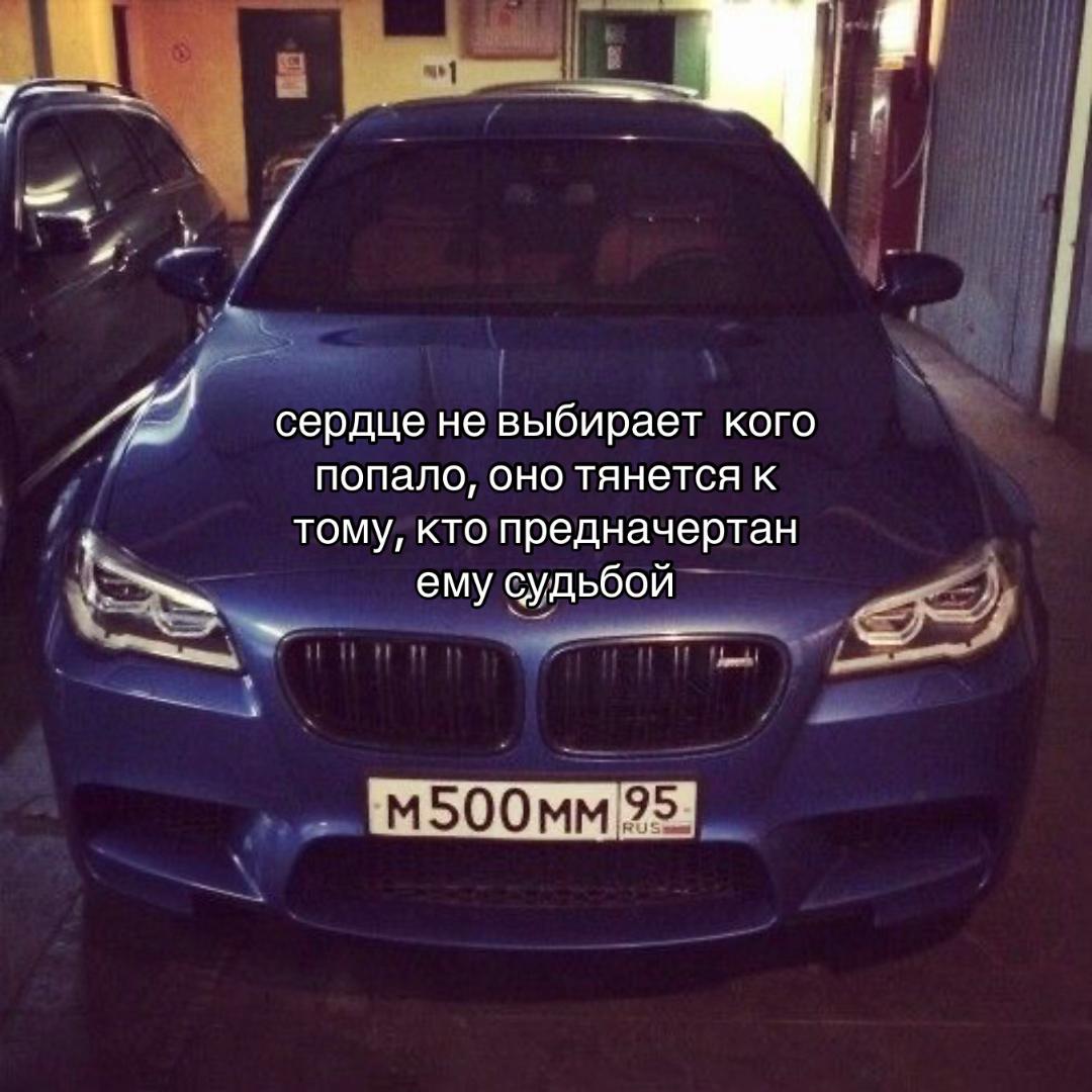 @златвв