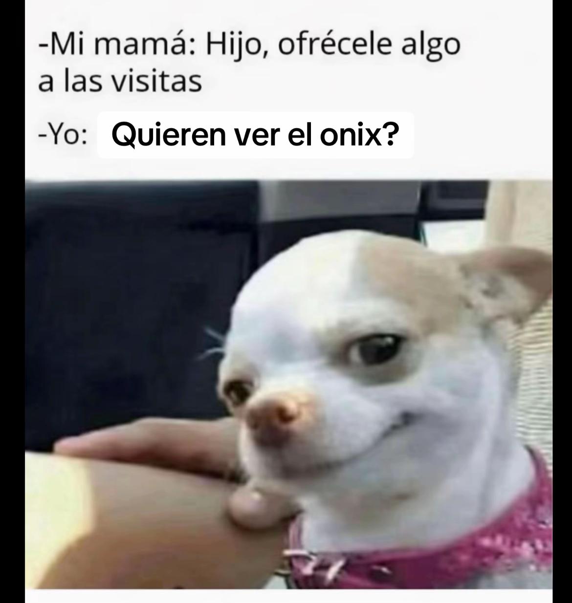 @Ramigonzalezzzz