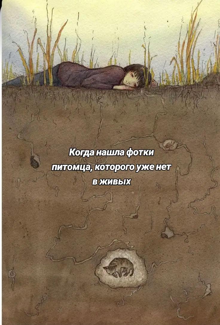@𝑳𝒆𝒐𝒏 ✨