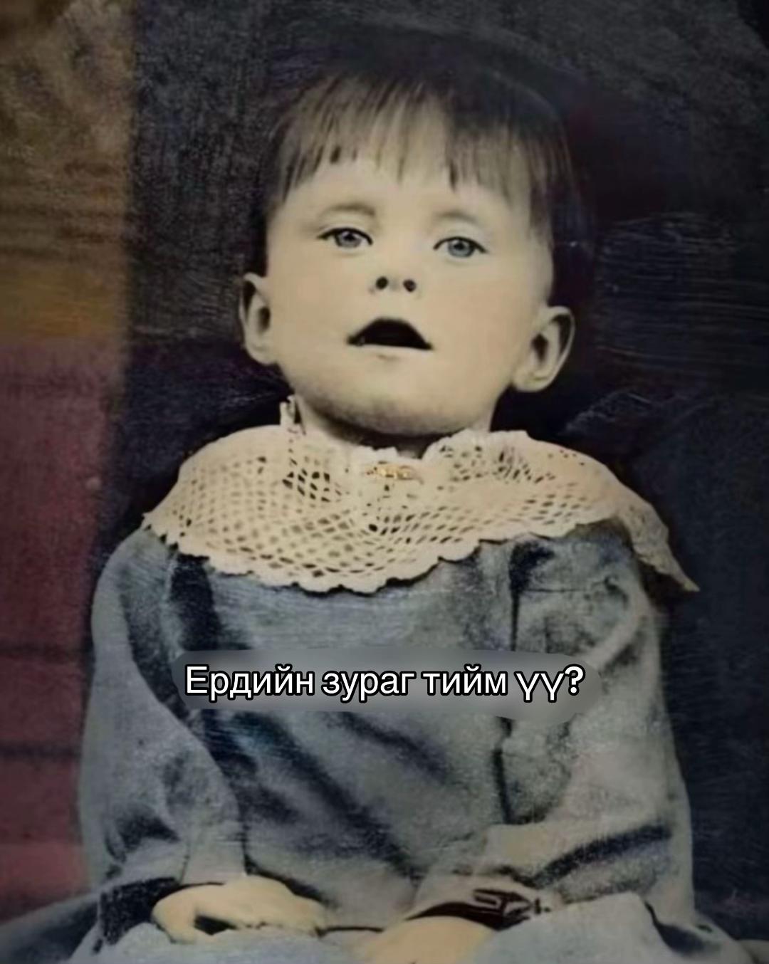 @VELVET