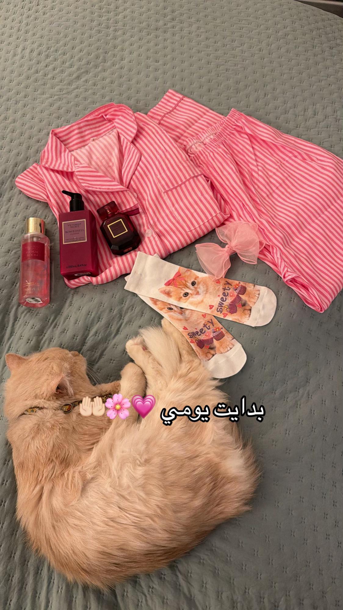 @NosaAtنورس عطيه